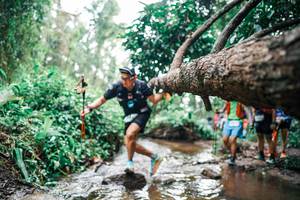 BIB: 
                            <button type="button" onclick="openModal(25375640)" class="btn btn-primary btn-sm float-right btn-popup" data-toggle="modal" data-target=".modal-high-quality">
                        <i class="fas fa-shopping-cart"></i> Add to Cart
                    </button>
                                            <button type="button" onclick="isThisMe(25375640, true)" class="btn btn-success btn-sm float-right btn-popup btn-isme hidden" data-toggle="tooltip" data-placement="bottom" title="นี่คือรูปของคุณใช่ไหม คลิกที่นี่เพื่อเอาเข้าอัลบั้ม">
                        <i class="fas fa-plus"></i> Add to album
                    </button>
                    <button type="button" onclick="isThisMe(25375640, false)" class="btn btn-warning btn-sm float-right btn-popup btn-isnotme hidden">
                        <i class="fas fa-ban"></i> Remove from album
                    </button>